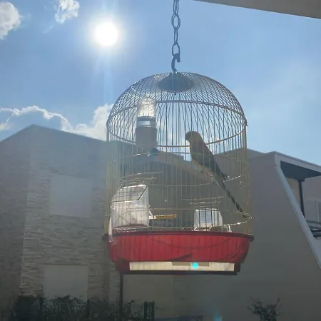 Deja Blue House Bay Of Lalzi Gjiri Lalzit